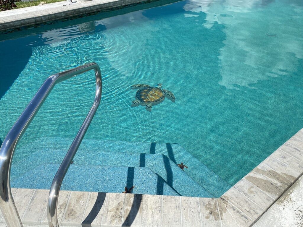 in ground swimming pool examples